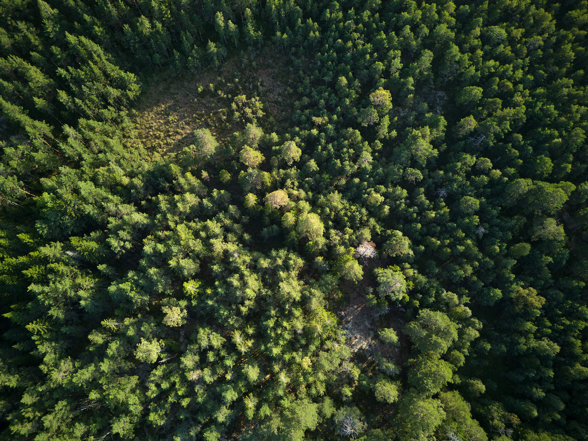 Schweden / Sweden